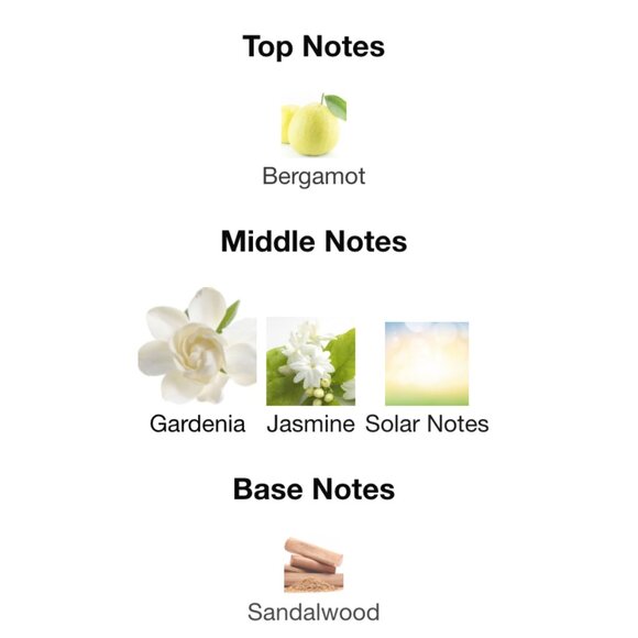 phlur phloria travel size - Picture 6 of 6